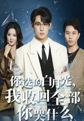 你选的白月光，我收回全部你哭什么全集