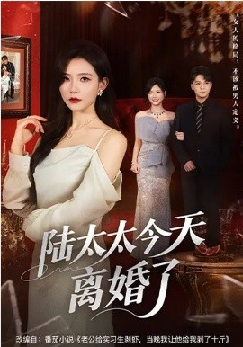 陆太太今天离婚了全集