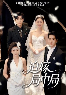 迫嫁局中局全集