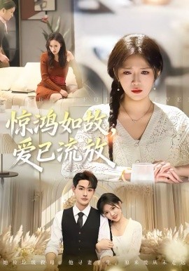 惊鸿如故，爱已流放全集