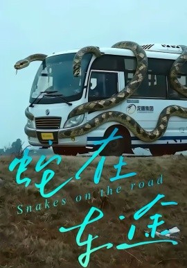 蛇在车途全集