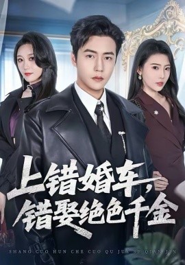 上错婚车，错娶绝色千金全集