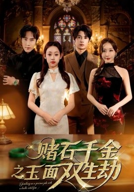 赌石千金之玉面双生劫全集