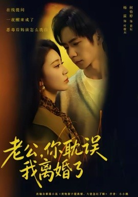 老公，你耽误我离婚了全集
