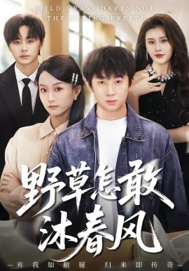 野草怎敢沐春风全集