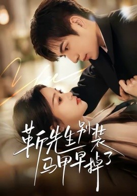 靳先生别装马甲早掉了全集