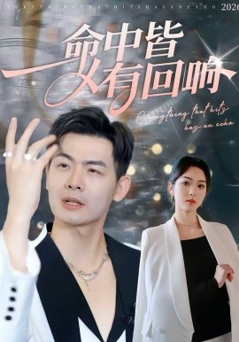 命中皆有回响全集