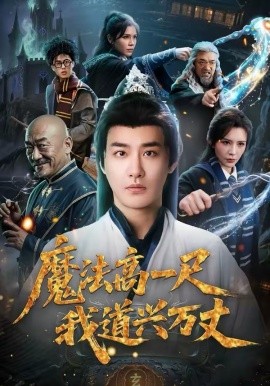魔法高一尺我道兴万丈全集