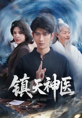 镇天神医全集