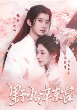 野火淬东宫全集