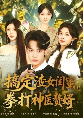 搞定渣女闺蜜拳打神医赘婿全集