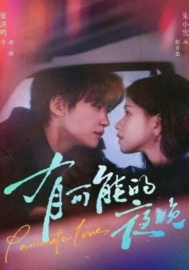 有可能的夜晚全集