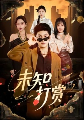 未知打赏全集