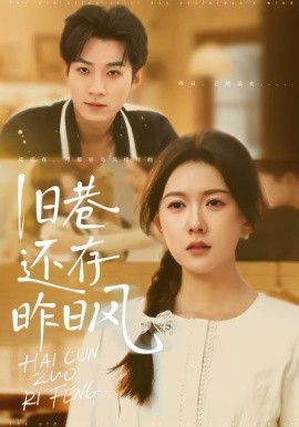 旧巷还存昨日风全集