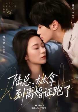 陆总，太太拿到离婚证跑了全集