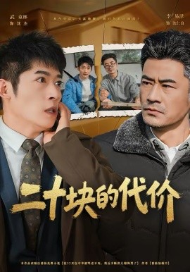 二十块的代价全集