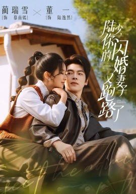 陆少，你的闪婚妻子又跑路了全集