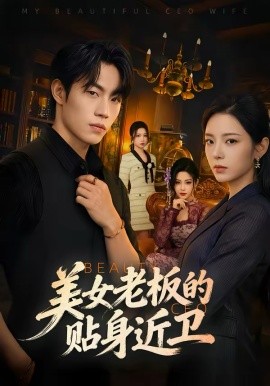 美女老板的贴身近卫全集