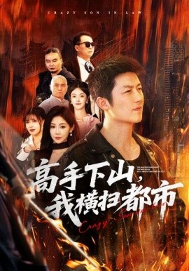 高手下山，我横扫都市全集