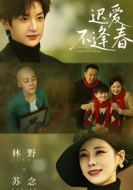 迟爱不逢春全集