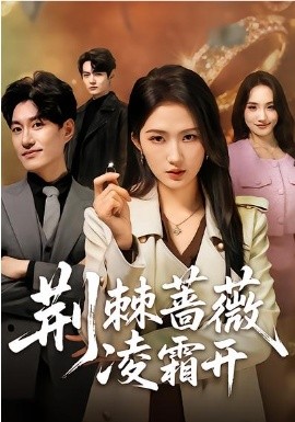 荆棘蔷薇凌霜开全集