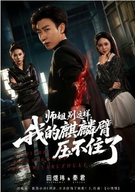 师姐别这样，我的麒麟臂压不住了全集