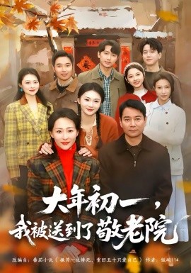 大年初一，我被送到了敬老院全集