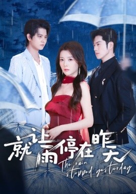 就让雨停在昨天全集