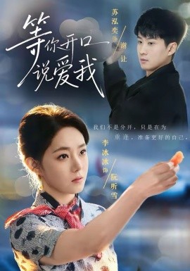 等你开口说爱我全集