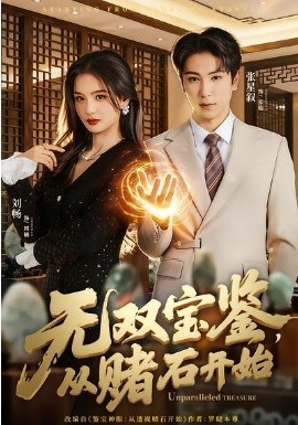 无双宝鉴，从赌石开始全集