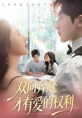 双向奔赴才有爱的权利全集
