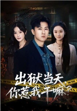 出狱当天，你惹我干嘛？全集