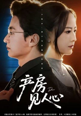 产房见人心全集