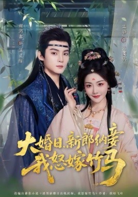 大婚日，新郎纳妾我怒嫁竹马全集