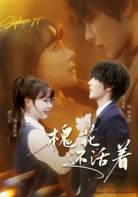 槐花还活着全集