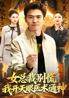 女总裁别慌，我开天眼医术通神全集