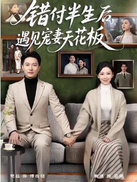 错付半生后，遇见宠妻天花板全集