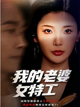 我的老婆女特工全集