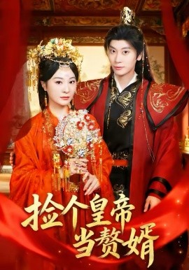 捡个皇帝当赘婿全集