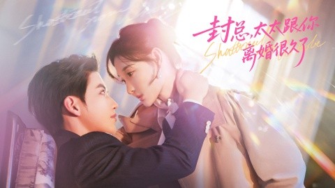 封总，太太跟你离婚很久了全集