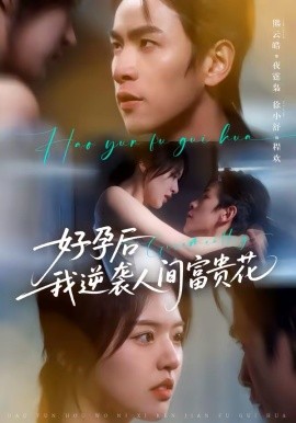 夜先生的小欢喜 好孕后我逆袭人间富贵花全集