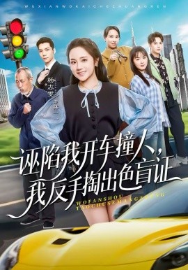 诬陷我开车撞人，我反手掏出色盲证全集