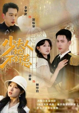 少夫人她不好惹全集