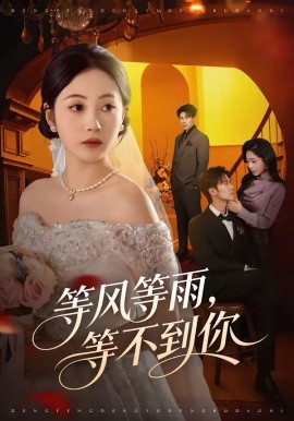 等风等雨，等不到你全集