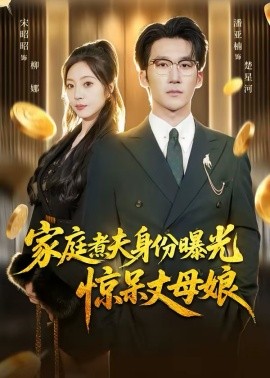 家庭煮夫身份曝光惊呆丈母娘全集