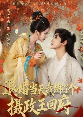 退婚当天我绑了个摄政王回府全集