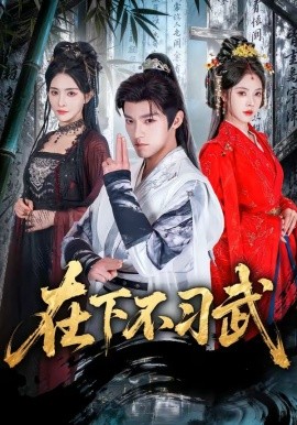 在下不习武全集