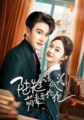 陆先生请低头萌妻要抱抱全集