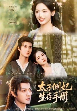 太子侧妃生存手册全集