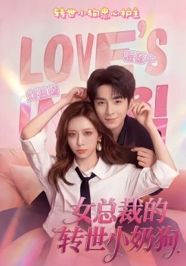 女总裁的转世小奶狗全集